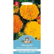 Seminte TAGETES erecta-Marigold African- Crackerjack Mixed -Craite inalte Seminte TAGETES erecta-Marigold African- Crackerjack Mixed -Craite inalte