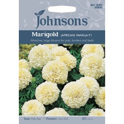 Seminte TAGETES erecta-Marigold African- Vanilla F1 -Craite albe Seminte TAGETES erecta-Marigold African- Vanilla F1 -Craite albe