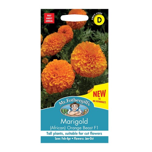 Seminte TAGETES erecta-Marigold African- Orange Beast F1-Craite inalte