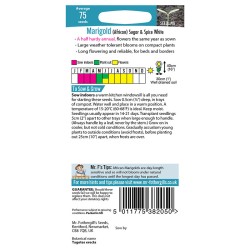 Seminte TAGETES erecta-Marigold African- Sugar&Spice White -Craite pitice Seminte TAGETES erecta-Marigold African- Sugar&Spice White -Craite pitice