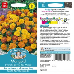 Seminte TAGETES patula-Marigold French- Boy-O-Boy Mixed -Craite pitice