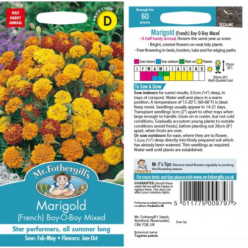 Seminte TAGETES patula-Marigold French- Boy-O-Boy Mixed -Craite pitice