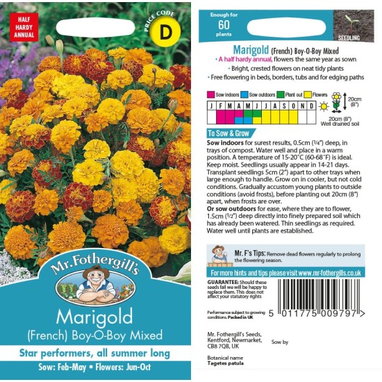 Seminte TAGETES patula-Marigold French- Boy-O-Boy Mixed -Craite pitice