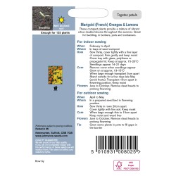 Seminte TAGETES patula-Marigold french- Oranges&Lemons -Craite pitice Seminte TAGETES patula-Marigold french- Oranges&Lemons -Craite pitice
