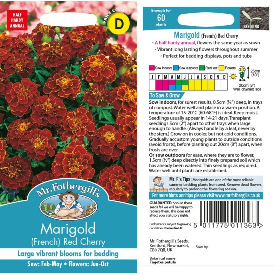 Seminte TAGETES patula-Marigold French- Red Cherry -Craite pitice