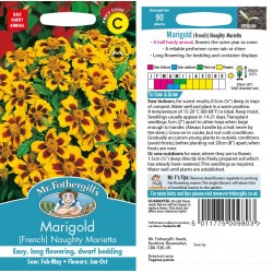Seminte TAGETES patula-Marigold French- Naughty Marietta -Craite pitice