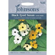 Seminte THUNBERGIA alata-Black Eye Susan- Susie Mixed (john) -Suzana cu ochi negri