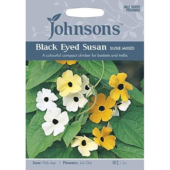 Seminte THUNBERGIA alata-Black Eye Susan- Susie Mixed (john) -Suzana cu ochi negri Seminte THUNBERGIA alata-Black Eye Susan- Susie Mixed (john) -Suzana cu ochi negri