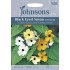 Seminte THUNBERGIA alata-Black Eye Susan- Susie Mixed (john) -Suzana cu ochi negri