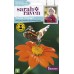 Seminte TITHONIA rotundifolia- Torchlight -Floarea-Soarelui mexicana