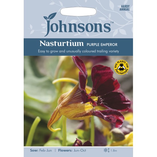 Seminte TROPAEOLUM majus-Nasturtium trailing- Purple Emperor -Condurul doamnei
