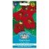 Seminte TROPAEOLUM majus-Nasturtium nanum- Tip Top Velvet -Caltunasi