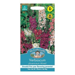 Seminte VERBASCUM phoeniceum- Mixed -Lumanarica