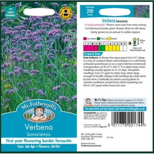 Seminte VERBENA bonariensis -Verbina perena