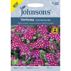 Seminte VERBENA hybrida- Scentsation Red -Verbina parfumata Seminte VERBENA hybrida- Scentsation Red -Verbina parfumata