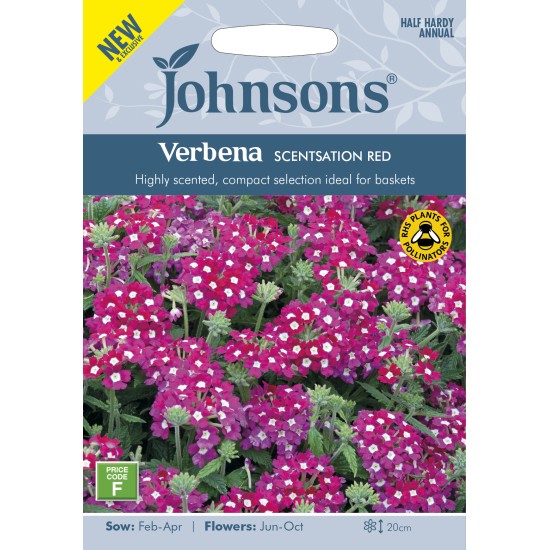Seminte VERBENA hybrida- Scentsation Red -Verbina parfumata