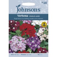 Seminte VERBENA hybrida- Sparkles Mixed -Verbina amestec