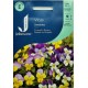 Seminte VIOLA cornuta- Sweeties -Panselute perene