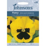 Seminte VIOLA wittrockiana-Pansy- Swiss Giant Rhinegold -Panselute mari