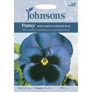 Seminte VIOLA wittrockiana-Pansy- Swiss Giant Ullswater Blue -Panselute mari