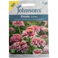 Seminte ZINNIA elegans- Mazurkia -Carciumarese mari