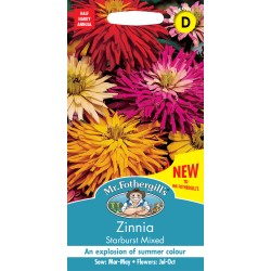 Seminte ZINNIA elegans- Starburst Mixed -Carciumarese cu flori stelate Seminte ZINNIA elegans- Starburst Mixed -Carciumarese cu flori stelate