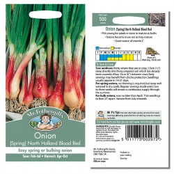 Seminte ALLIUM cepa-Onion Spring- North Holland Blood Red -Ceapa rosie
