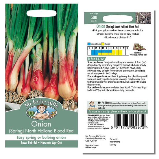 Seminte ALLIUM cepa-Onion Spring- North Holland Blood Red -Ceapa rosie Seminte ALLIUM cepa-Onion Spring- North Holland Blood Red -Ceapa rosie