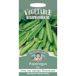 Seminte ASPARAGUS-Tetragonolobus purpureus- Pea -Mazare sparanghel Seminte ASPARAGUS-Tetragonolobus purpureus- Pea -Mazare sparanghel