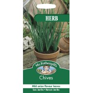 Seminte ALLIUM schoeonoprasum-Herbs- Chives Fine Leaf -Ceapa perena de frunze