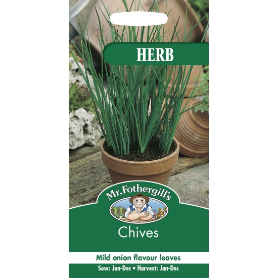 Seminte ALLIUM schoeonoprasum-Herbs- Chives Fine Leaf -Ceapa perena de frunze