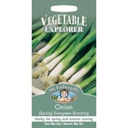 Seminte ALLIUM fistulosum-Onion Spring- Evergreen Bunching - Ceapa perena verde