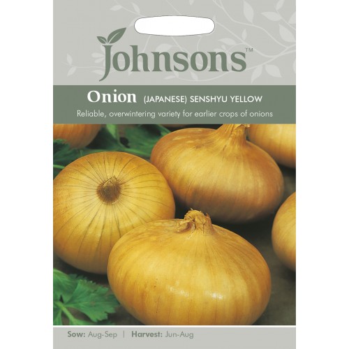 Seminte ALLIUM cepa-Onion japanese- Senshyu Yellow -Soi timpuriu, plantare toamna