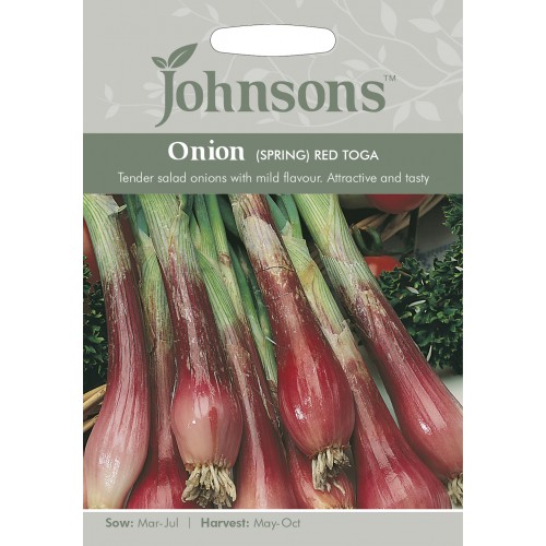 Seminte ALLIUM fistulosum-Onion Spring- Red Toga - Ceapa perena asiatica rosie