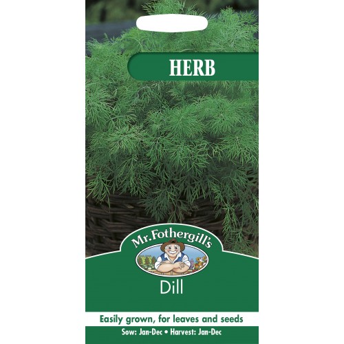 Seminte ANETHUM graveolens-Herbs- Dill -Marar