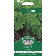 Seminte ANTHRISCUS cerefolium-Herbs Cervil- Simple -Asmatui, hasmatuchi