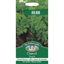 Seminte ANTHRISCUS cerefolium-Herbs Cervil- Simple -Asmatui, hasmatuchi