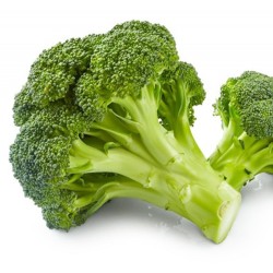 Seminte BRASSICA oleracea it. botrytis-Broccoli- Ramoso ORG -Broccoli verde, timpuriu Seminte BRASSICA oleracea it. botrytis-Broccoli- Ramoso ORG -Broccoli verde, timpuriu