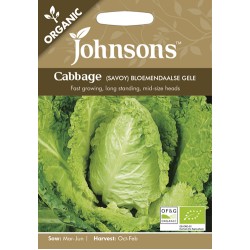Seminte BRASSICA oleracea capitata-Cabbage Savoy- Bloemendaalse ORG - Seminte BRASSICA oleracea capitata-Cabbage Savoy- Bloemendaalse ORG -