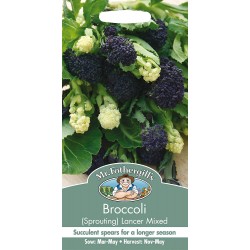 Seminte BRASSICA oleracea italica-Broccoli Sprouting- Lancer Mix -Broccoli mix