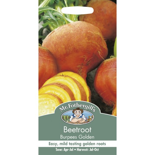 Seminte BETA vulgaris-Beetroot- Burpees Golden  - Sfecla de masa portocalie