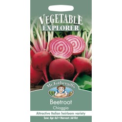 Seminte BETA vulgaris-Beetroot- Chioggia  - Sfecla de masa inelata rosu cu alb Seminte BETA vulgaris-Beetroot- Chioggia  - Sfecla de masa inelata rosu cu alb