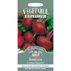 Seminte BETA vulgaris-Beetroot- Crosbys Egyptian - Sfecla de masa rosie, aplatizata, rez. la inflorire, soi vechi Seminte BETA vulgaris-Beetroot- Crosbys Egyptian - Sfecla de masa rosie, aplatizata, rez. la inflorire, soi vechi