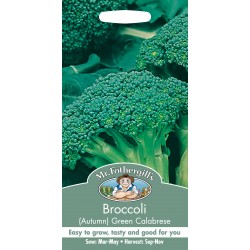 Seminte BRASSICA-Broccoli- oleracea botrytis Green Calabrese - Broccoli verde