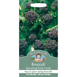 Seminte BRASSICA oleracea italica-Broccoli Sprouting- Early Purple -Broccoli mov timpuriu