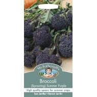 Seminte BRASSICA oleracea italica-Broccoli Sprouting- Summer Purple - Broccoli mov Seminte BRASSICA oleracea italica-Broccoli Sprouting- Summer Purple - Broccoli mov