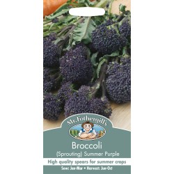 Seminte BRASSICA oleracea italica-Broccoli Sprouting- Summer Purple - Broccoli mov Seminte BRASSICA oleracea italica-Broccoli Sprouting- Summer Purple - Broccoli mov