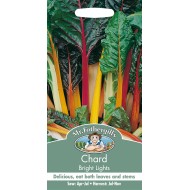 Seminte BETA vulgaris-Chard- Bright Lights -Sfecla de petiol (Mangold), amestec Seminte BETA vulgaris-Chard- Bright Lights -Sfecla de petiol (Mangold), amestec