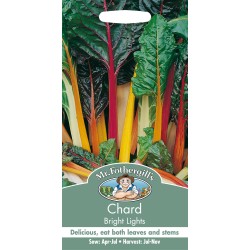 Seminte BETA vulgaris-Chard- Bright Lights -Sfecla de petiol (Mangold), amestec Seminte BETA vulgaris-Chard- Bright Lights -Sfecla de petiol (Mangold), amestec