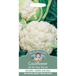 Seminte BRASSICA oleracea botrytis-Cauliflower- All the Year Round - Conopida alba